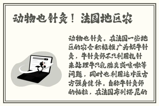 g版美人鱼